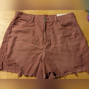 Brand New American Eagle Size 14 Shorts